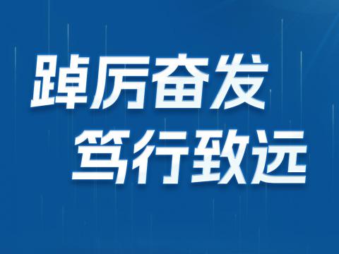 一图读懂人生就是博官网电气2024年半年报
