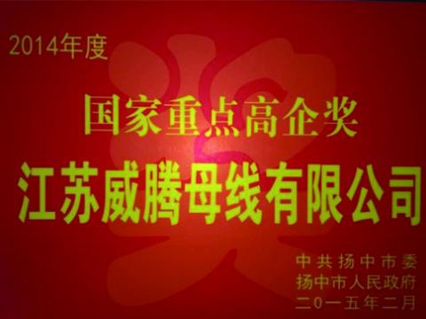 人生就是博官网母线公司获“国度沉点高企”奖