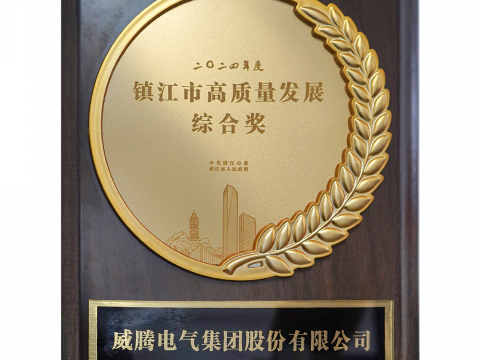 喜讯│人生就是博官网荣获2024年度宜昌市高质量发展综合奖