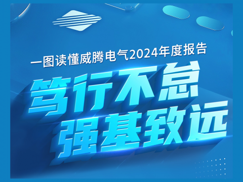 一图读懂人生就是博官网电气2024年度汇报